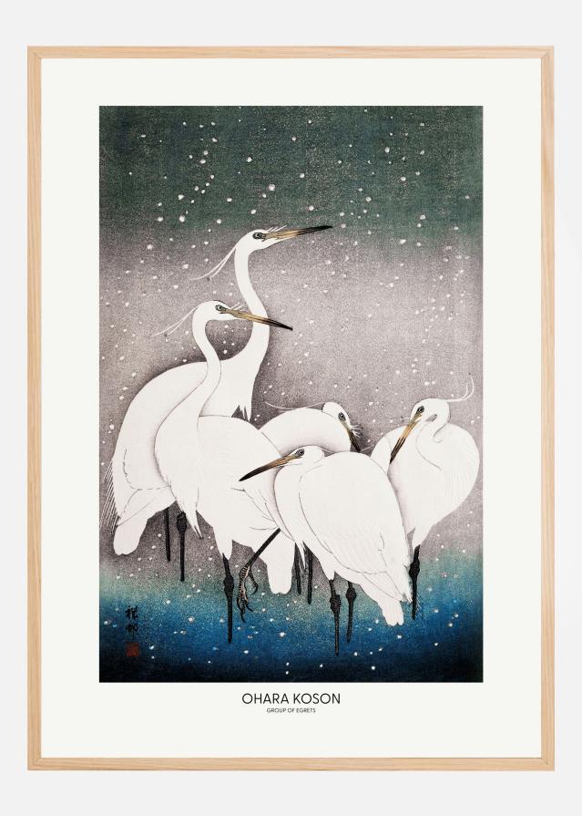 Group Of Egrets Įrašai