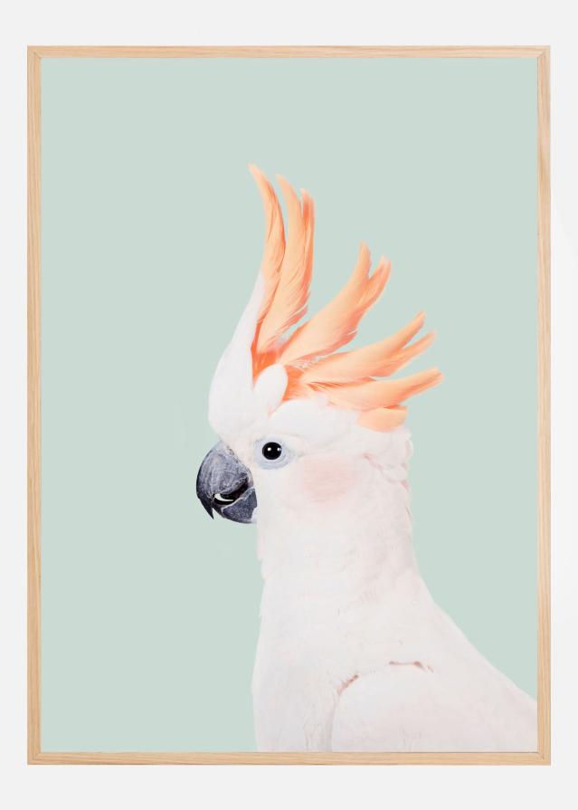 Cockatoo on Mint Įrašai