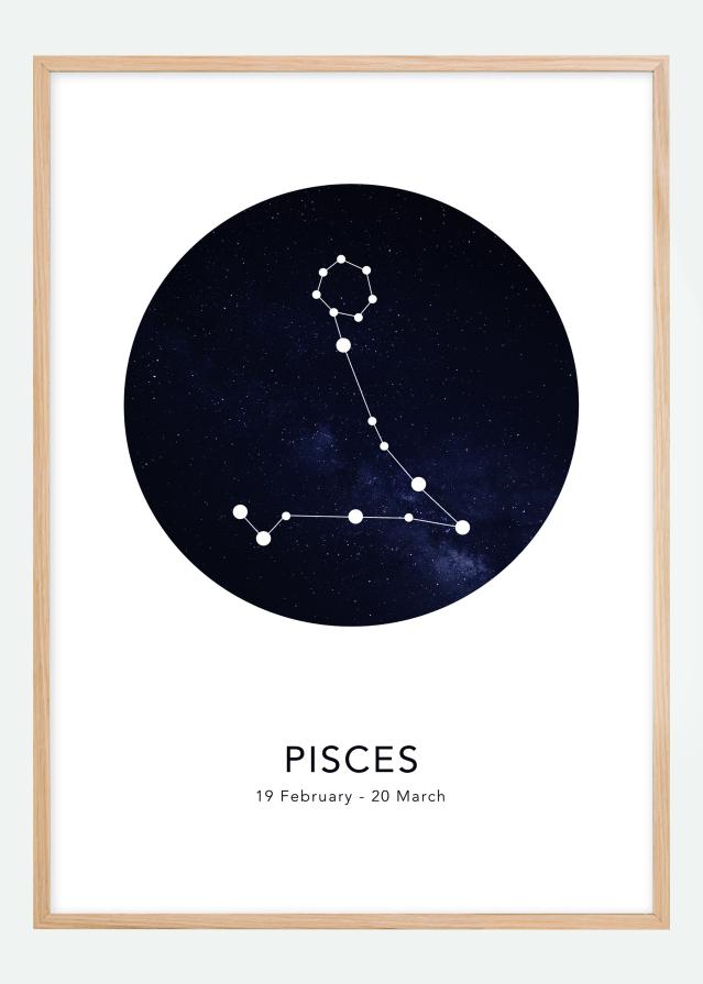 Pisces Įrašai