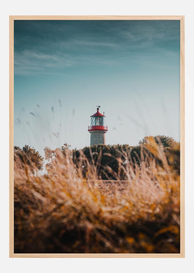 Lighthouse Įrašai