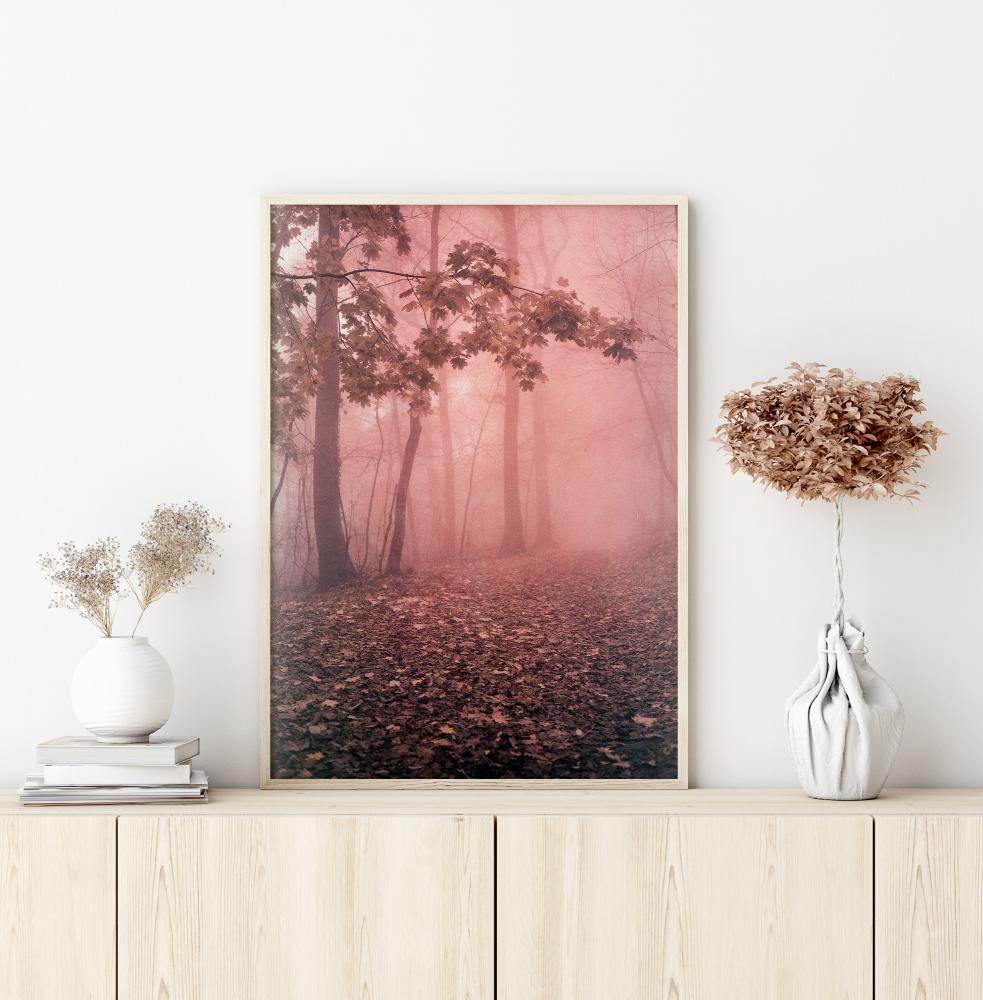 Pink Forrest Įrašai