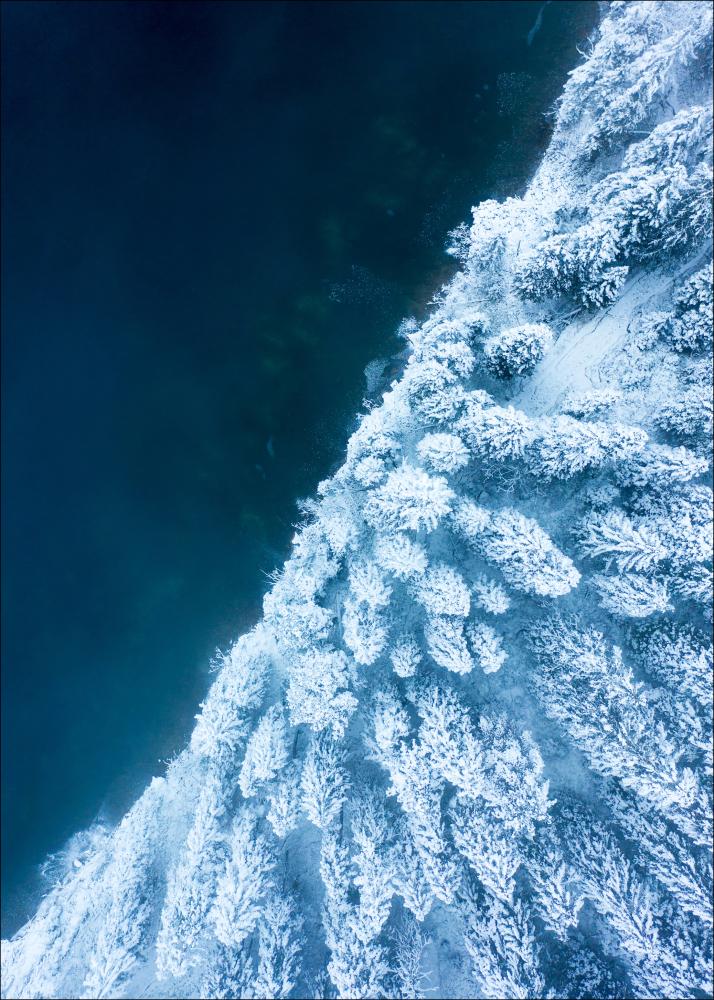 Frosty Forest Įrašai