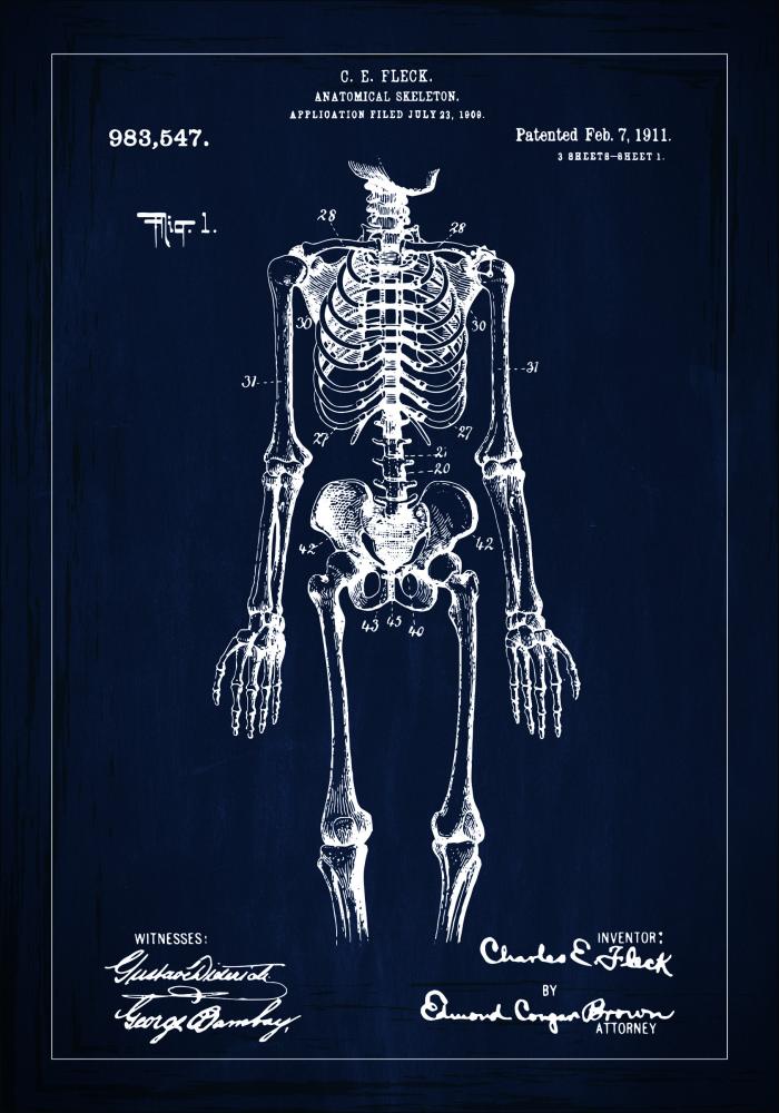 Patentinis brėžinys - Anatominis Skeletas viduje - Mėlynas Įrašai