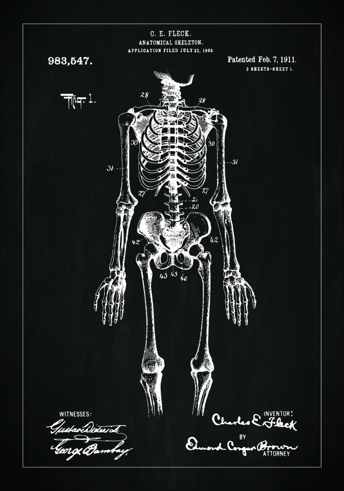 Patentinis brėžinys - Anatominis Skeletas viduje - Juodas Įrašai