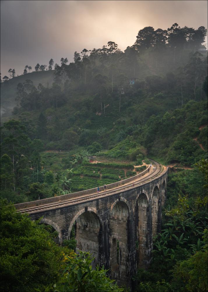 Jungle train rails Įrašai