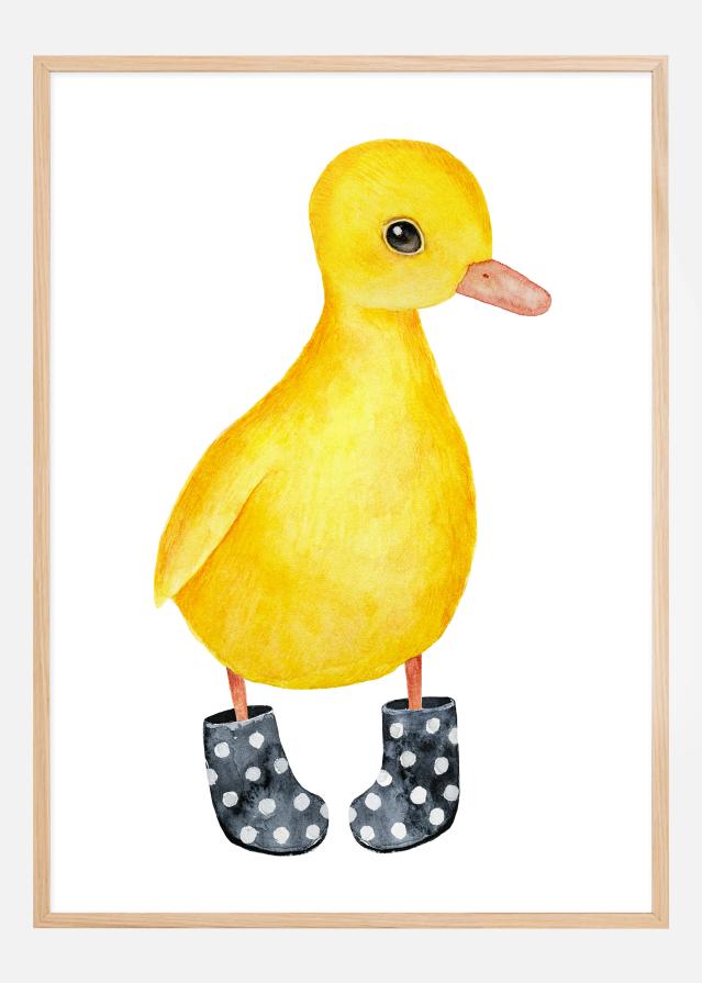 Duck in shoes Įrašai