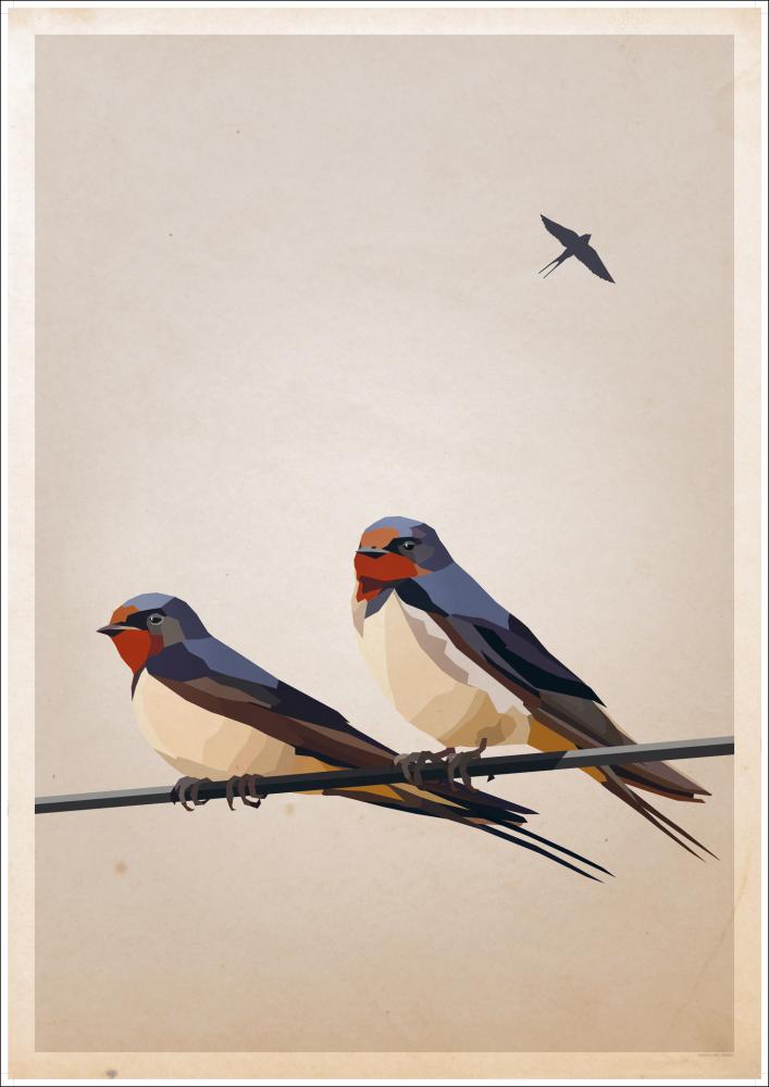 Swallows Įrašai