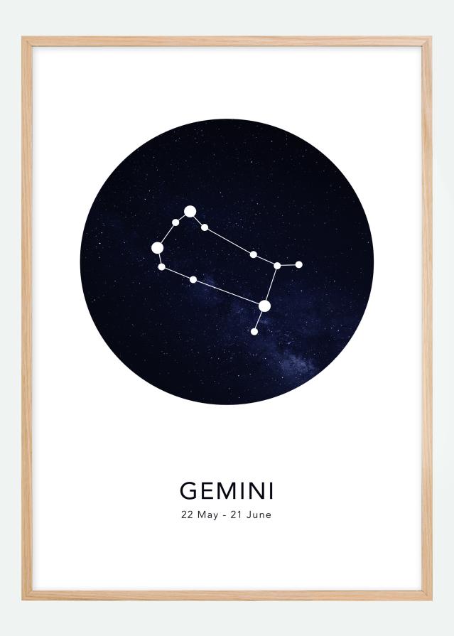 Gemini Įrašai