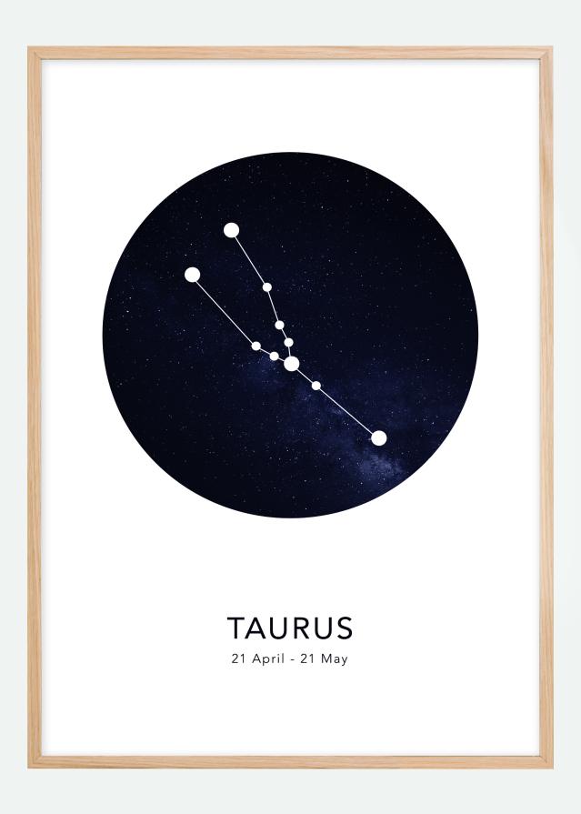 Taurus Įrašai