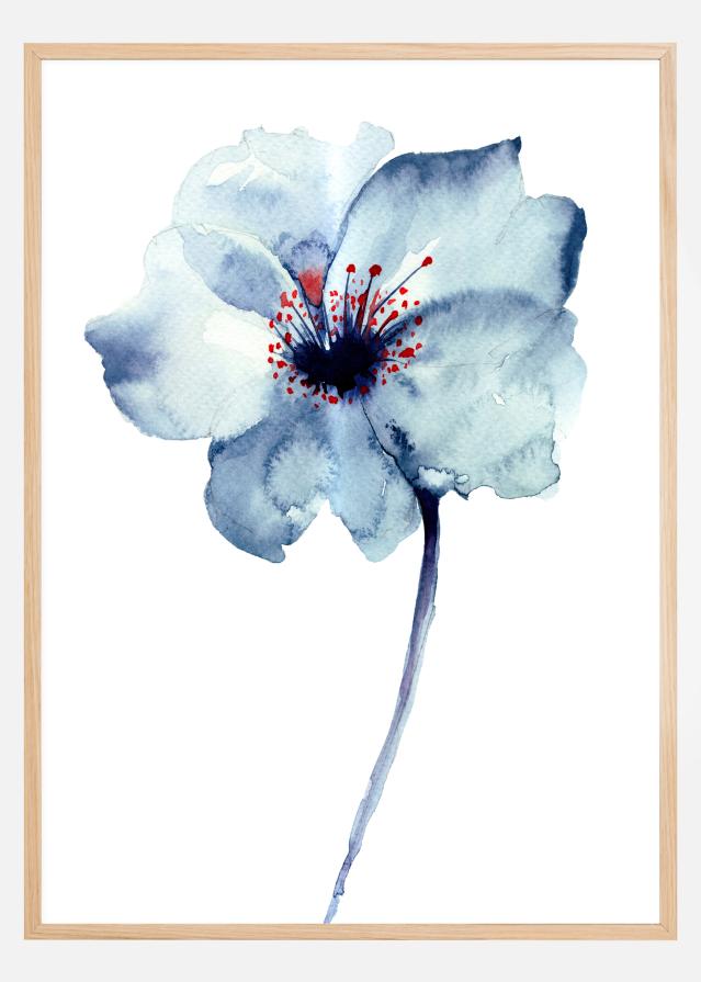 Aquarelle Flower - Blue Įrašai