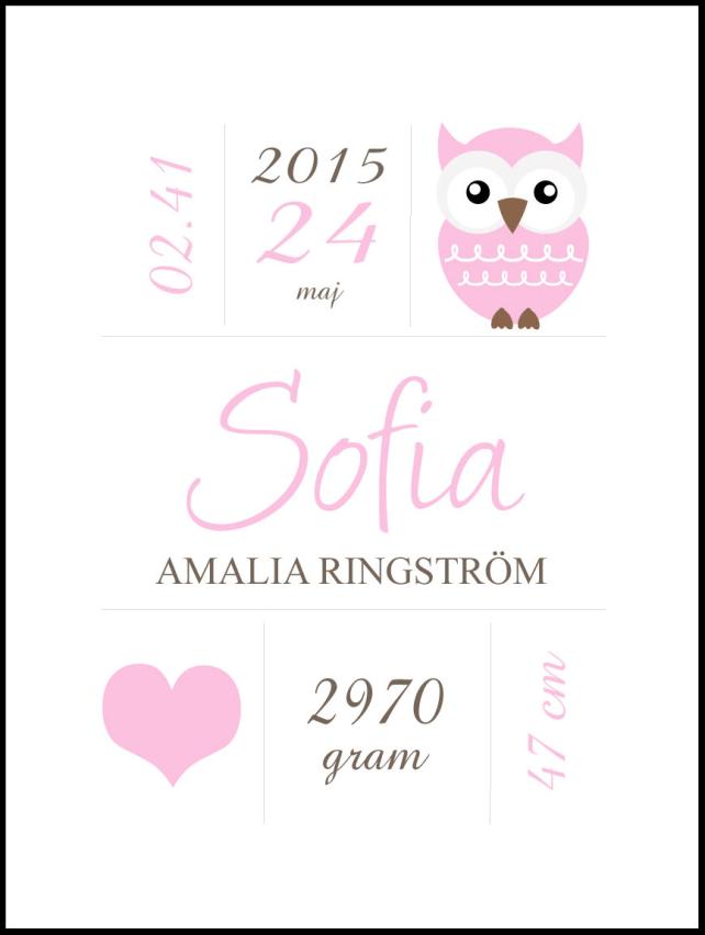 Owl Birth Įrašai Pink