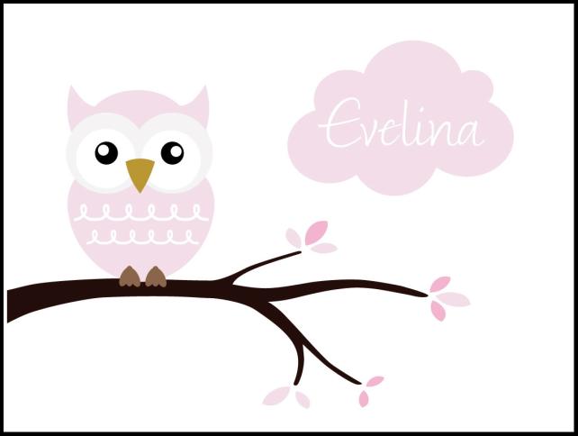 Owl Name Įrašai Pink