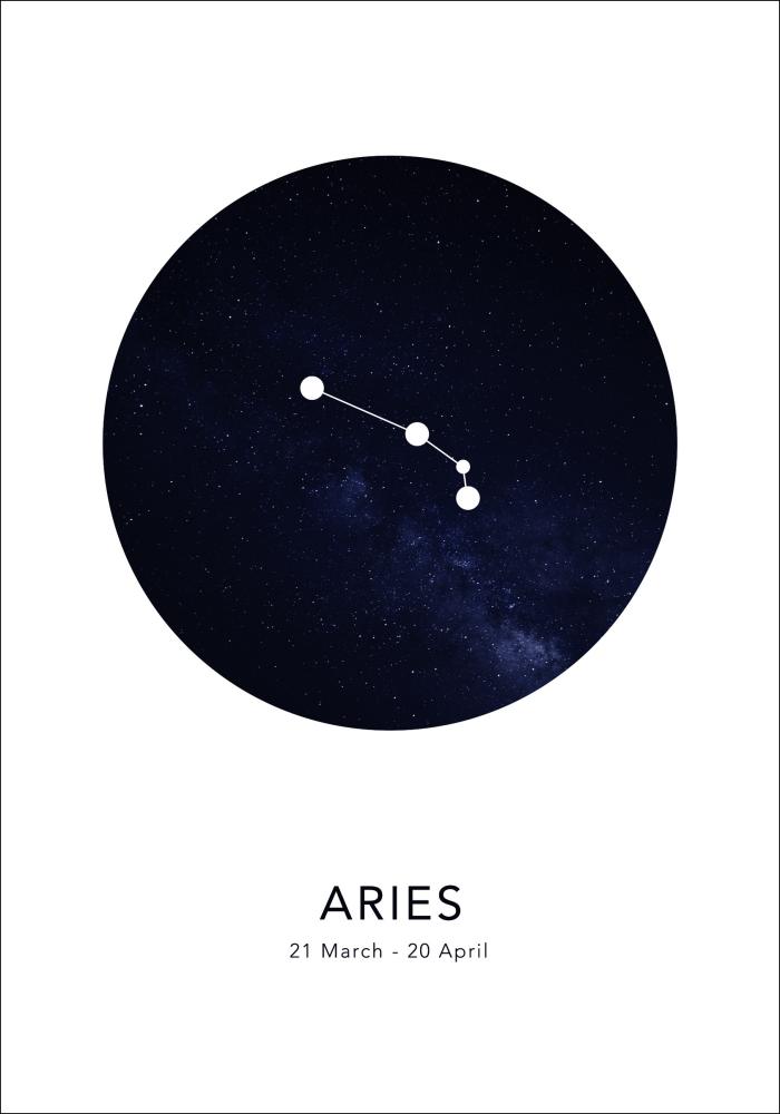 Aries Įrašai