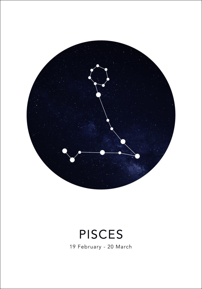 Pisces Įrašai