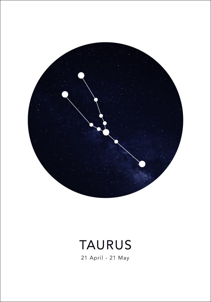 Taurus Įrašai