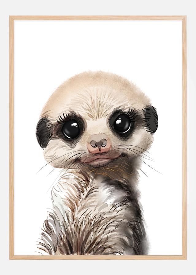 Meerkat Watercolor Įrašai