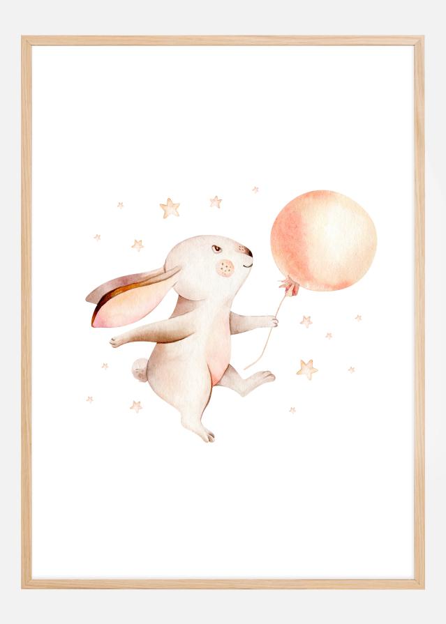 Rabbit Balloon Įrašai