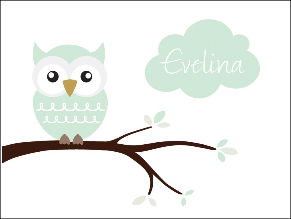 Owl Name Įrašai Light Green