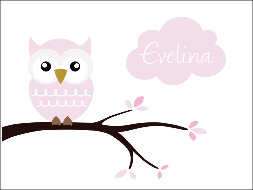 Owl Name Įrašai Pink