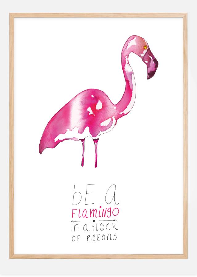 Be a flamingo Įrašai