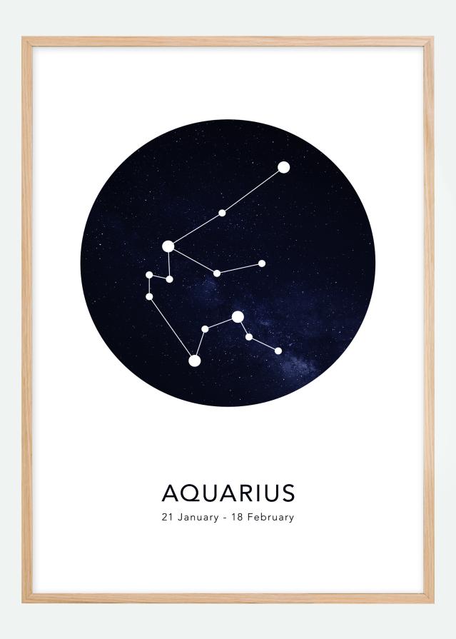 Aquarius Įrašai