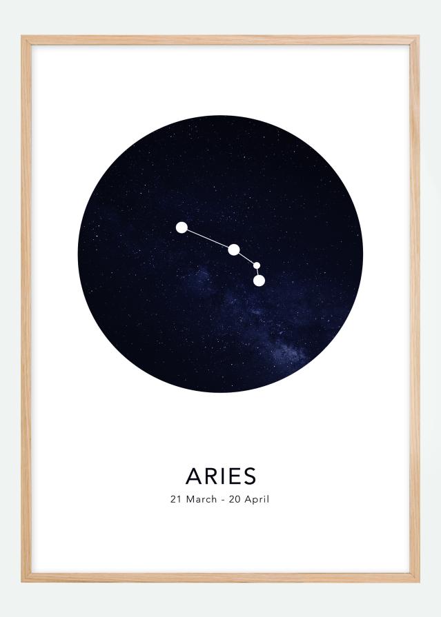 Aries Įrašai