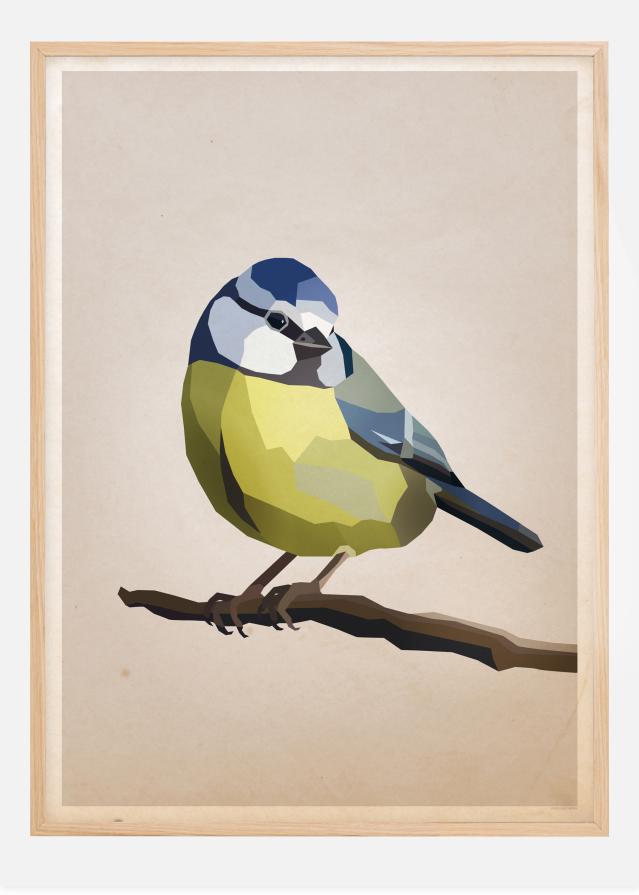 Blue tit Įrašai