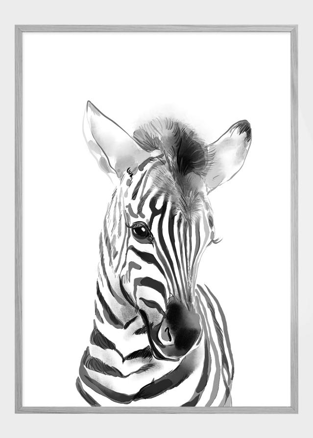 Zebra Watercolor Įrašai