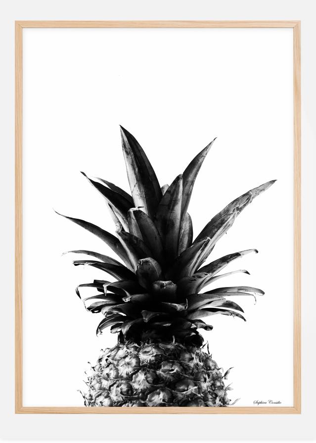 Pineapple B&W Įrašai