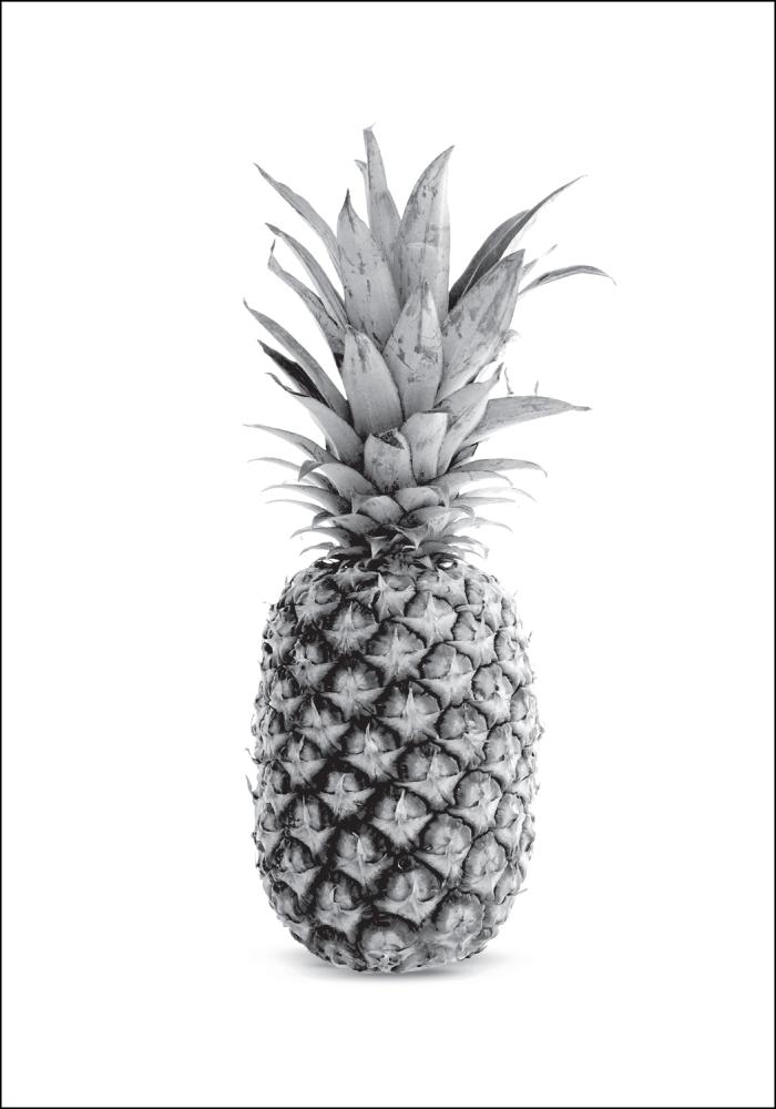 Pineapple Grey Įrašai