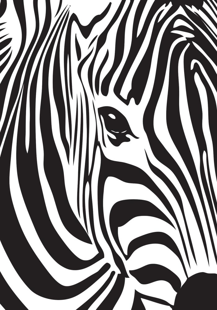 Zebra Įrašai