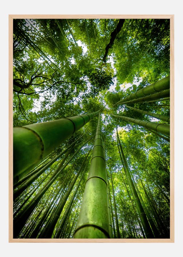 ARASHIYAMA Įrašai