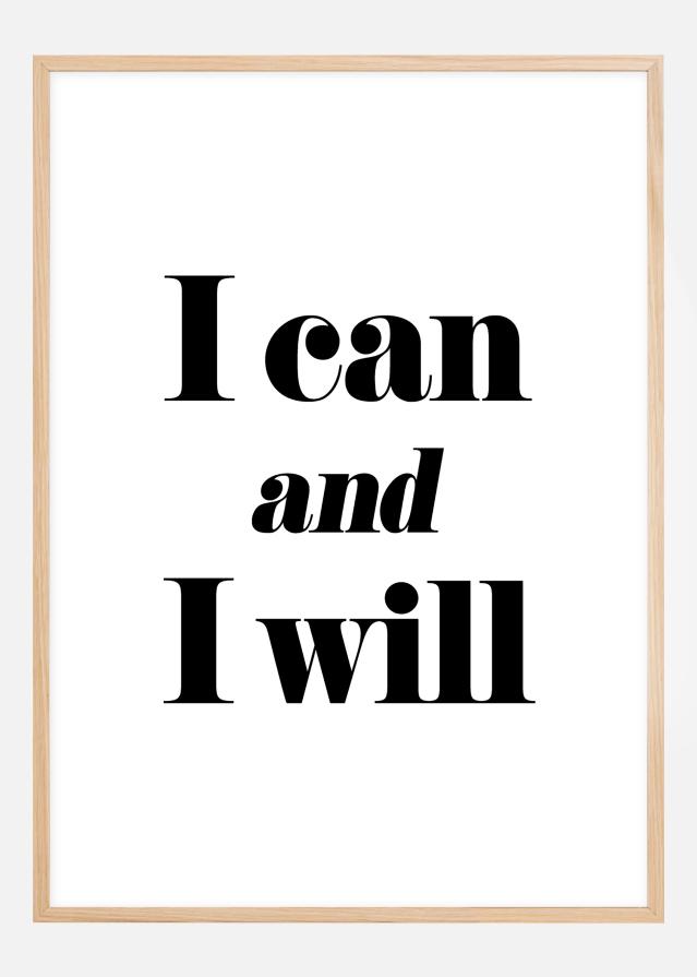 I can and I will Įrašai