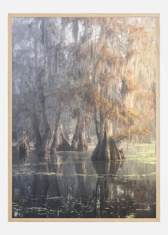 Louisiana Swamp Įrašai