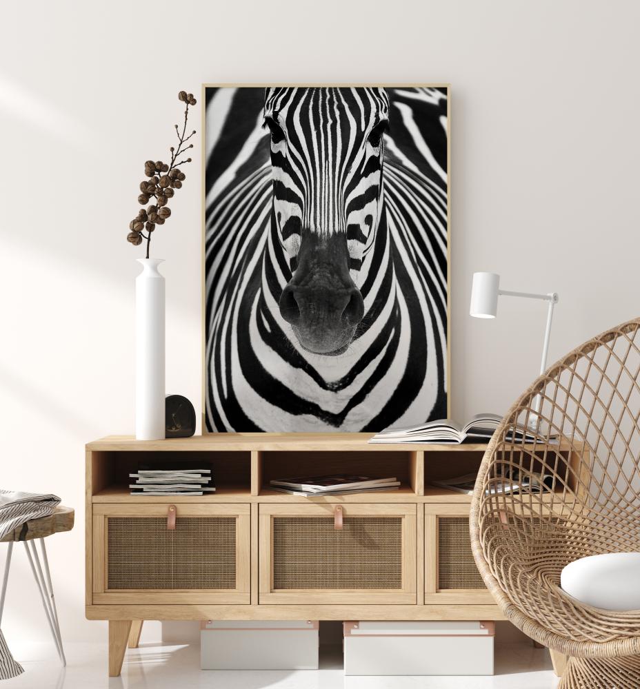 Zebra Įrašai