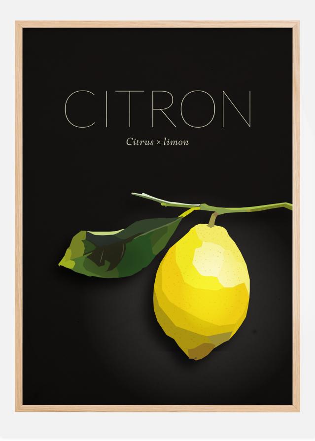 Citron Įrašai