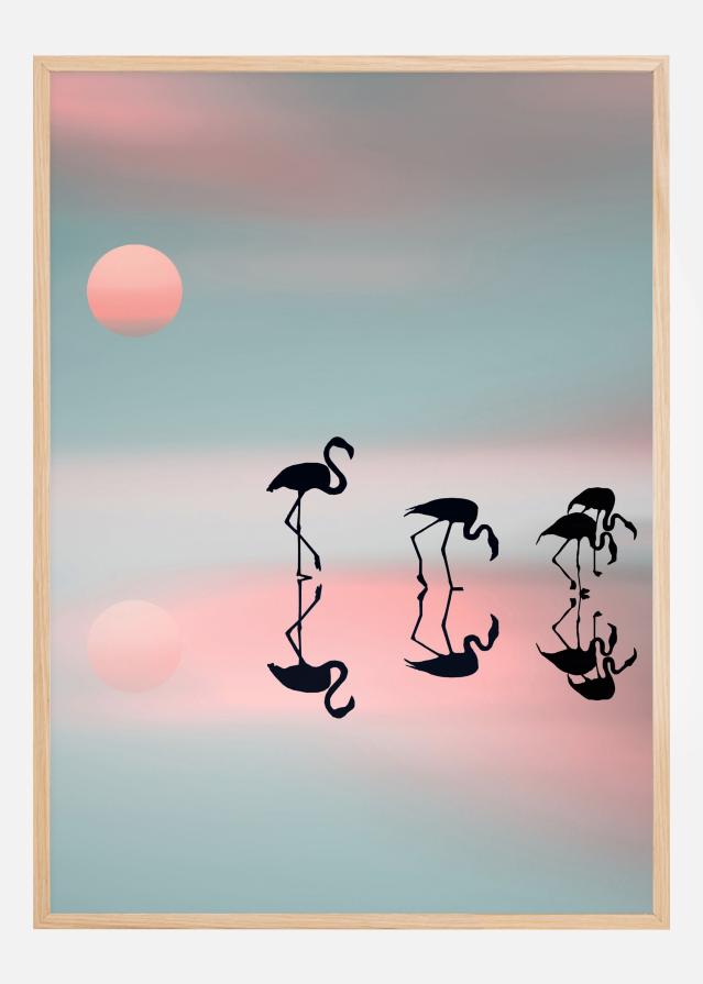 Family Flamingos Įrašai