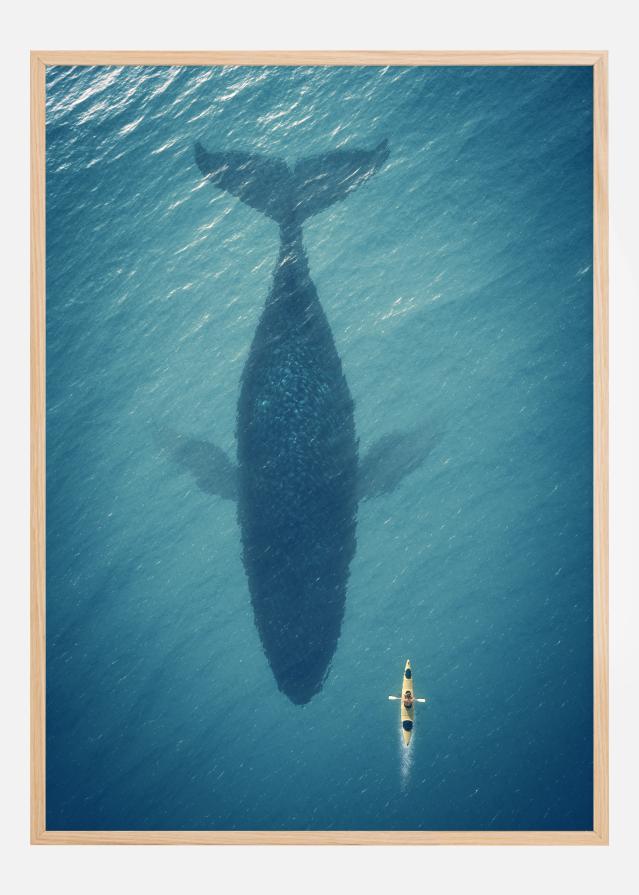 A Big Whale Įrašai