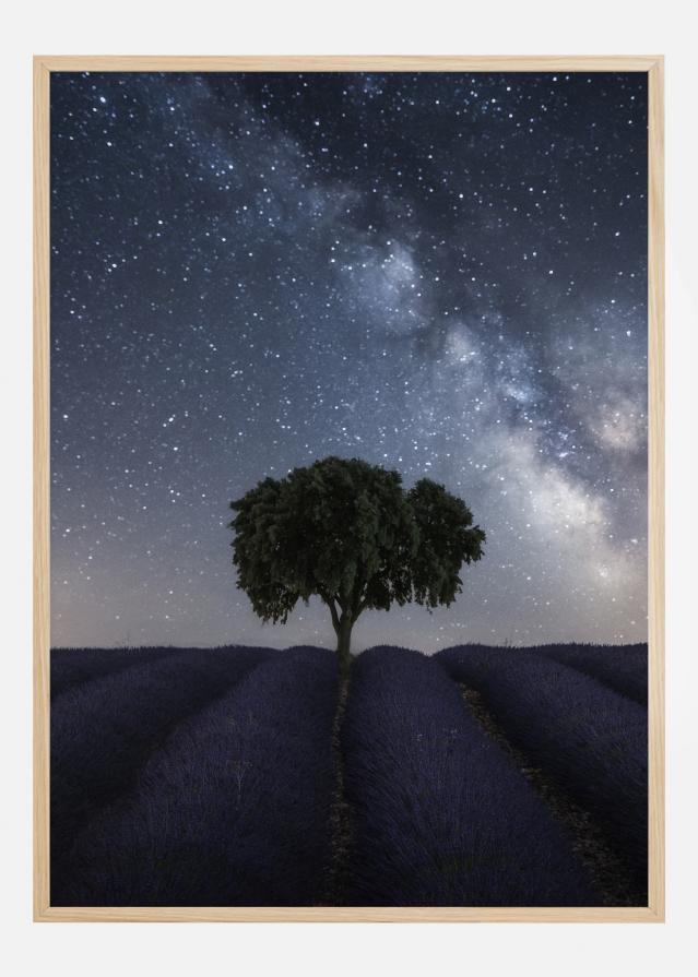 Tree And Milky Way Įrašai