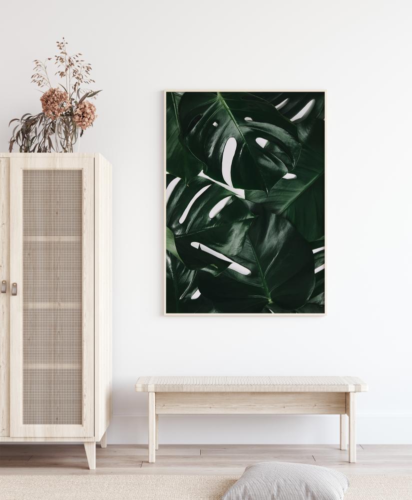 Monstera Plant I Įrašai