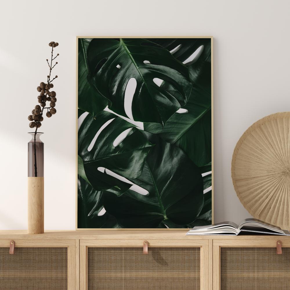 Monstera Plant I Įrašai