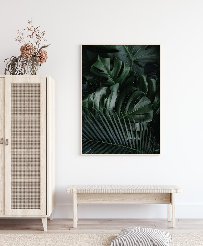 Monstera Plant II Įrašai