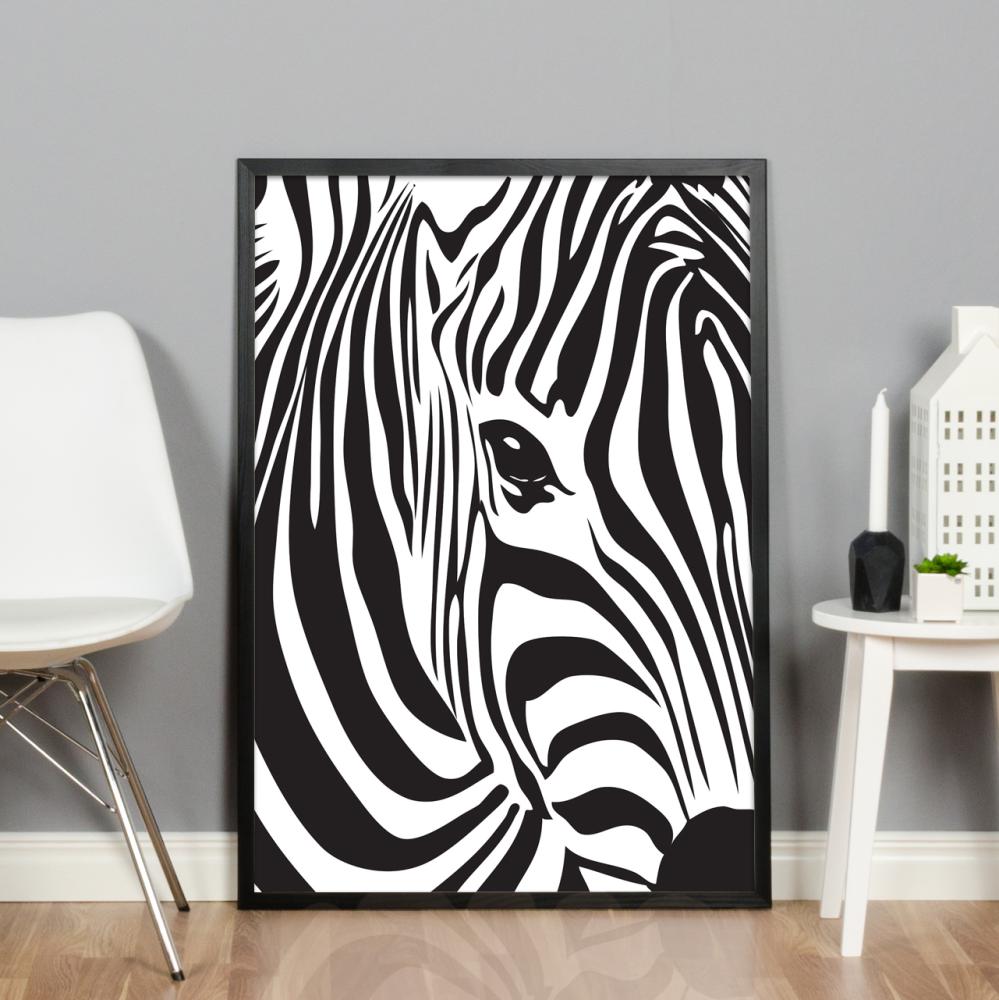 Zebra Įrašai