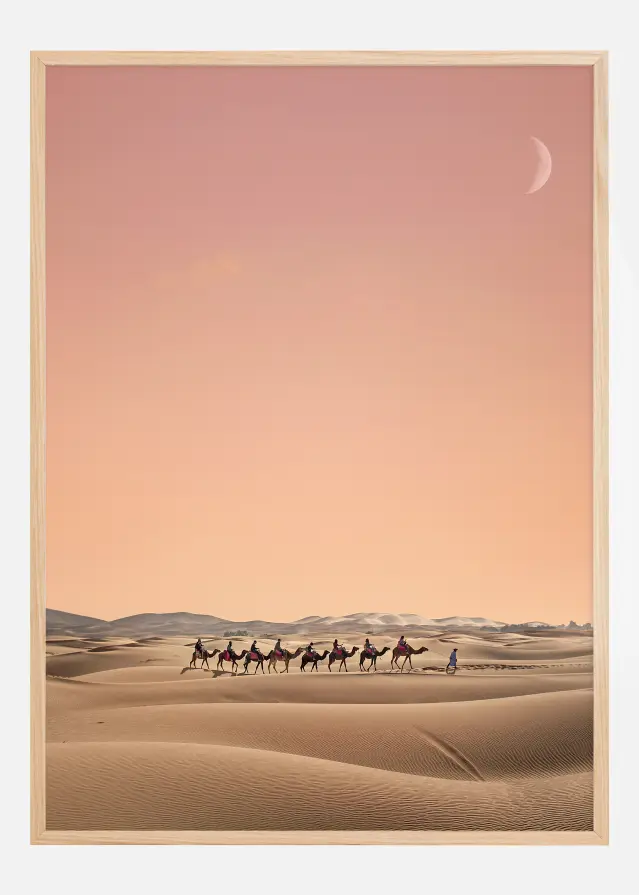 Eight Camels Įrašai