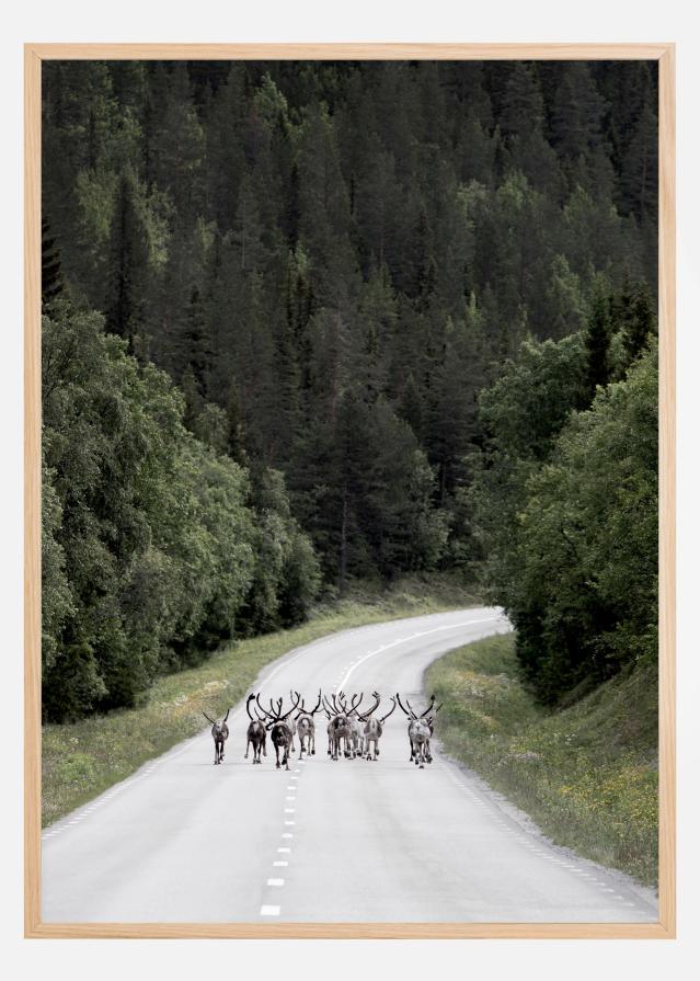 Reindeer road Įrašai