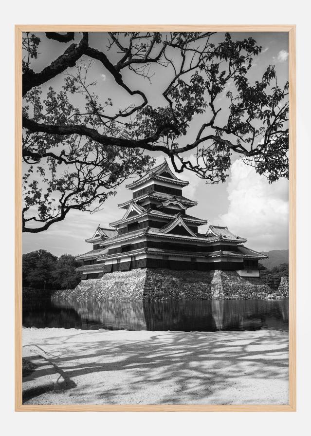 Matsumoto Castle Įrašai