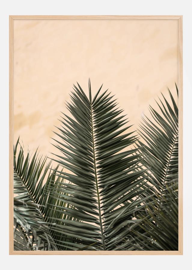 Palm leaves and wall Įrašai