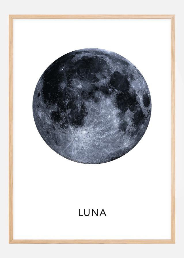 Luna Įrašai