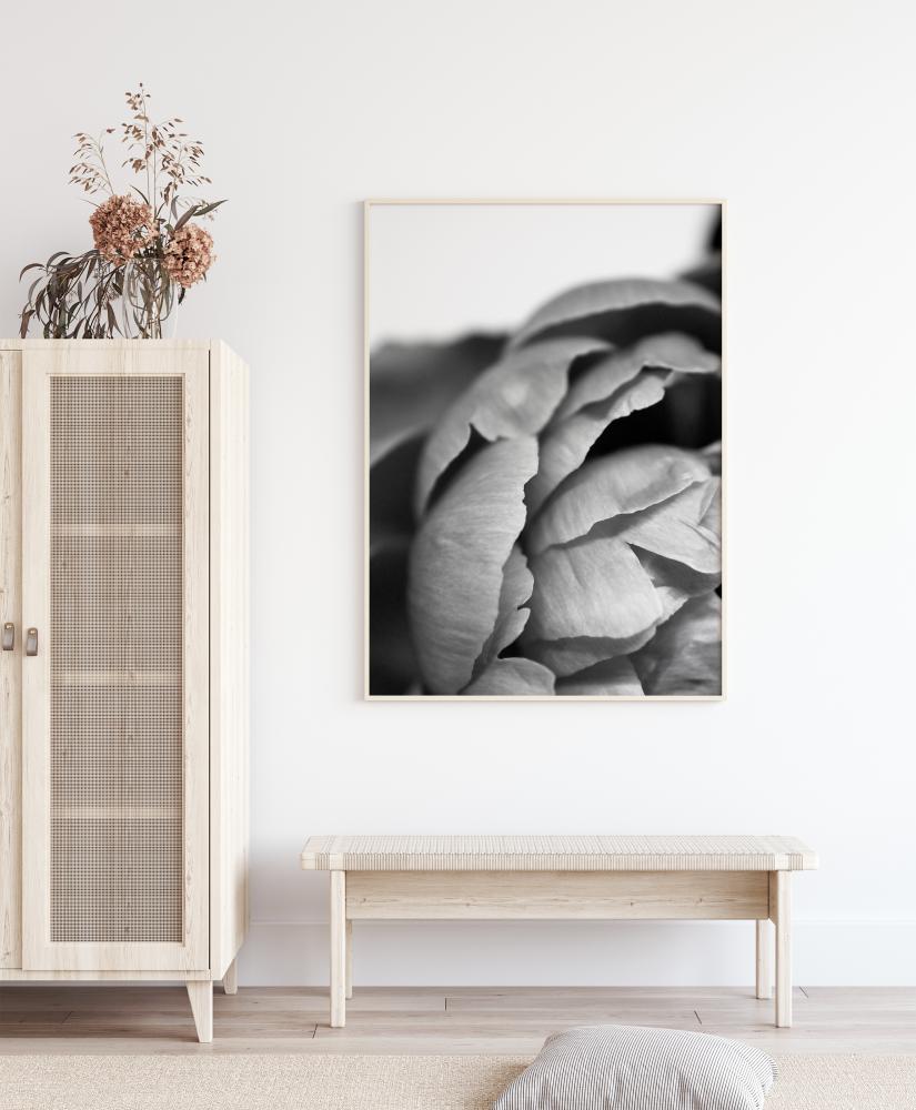 Peony B&W Įrašai