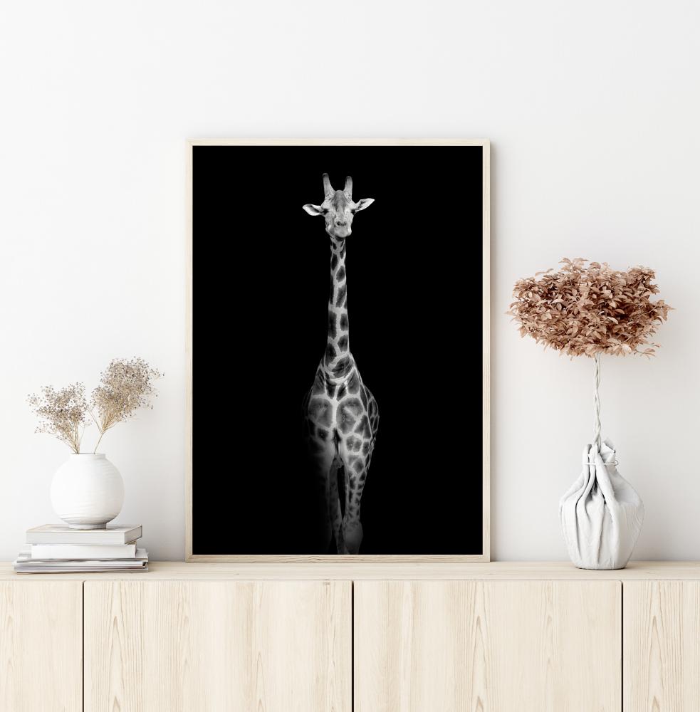 Stunning giraffe Įrašai